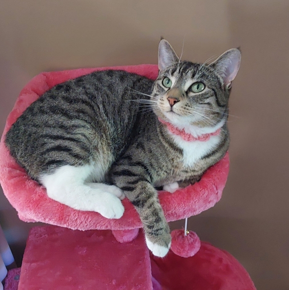 hi :o) - Picture 1 of 1